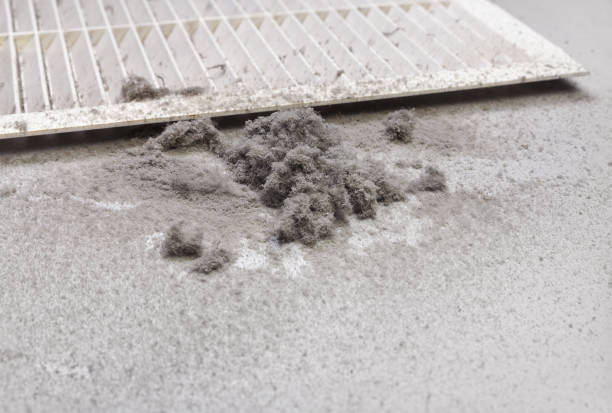 Best HVAC Duct Inspection Services  in Lake Camelot, WI