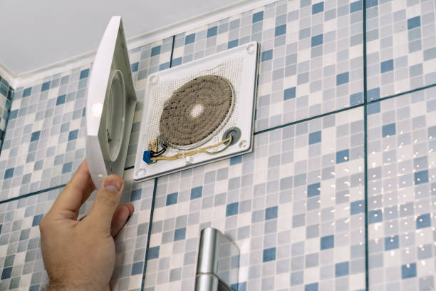 Best Air Duct Mold Removal  in Lake Camelot, WI