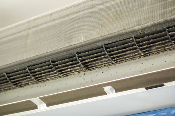 Best Professional Duct Cleaning Services  in Lake Camelot, WI
